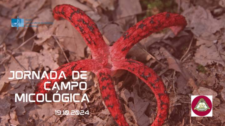 JORNADA DE CAMPO MICOLÓGICA