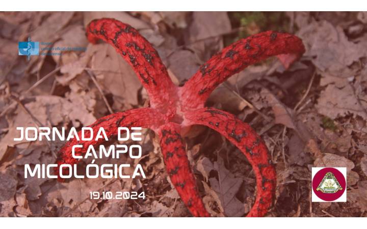 JORNADA DE CAMPO MICOLÓGICA