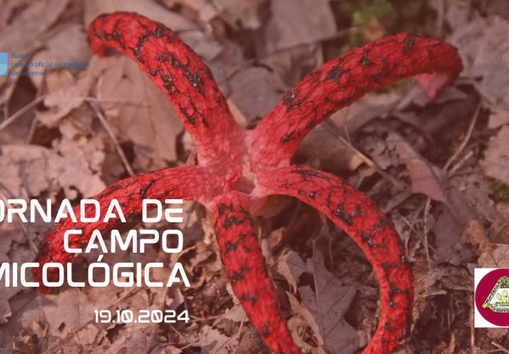 JORNADA DE CAMPO MICOLÓGICA